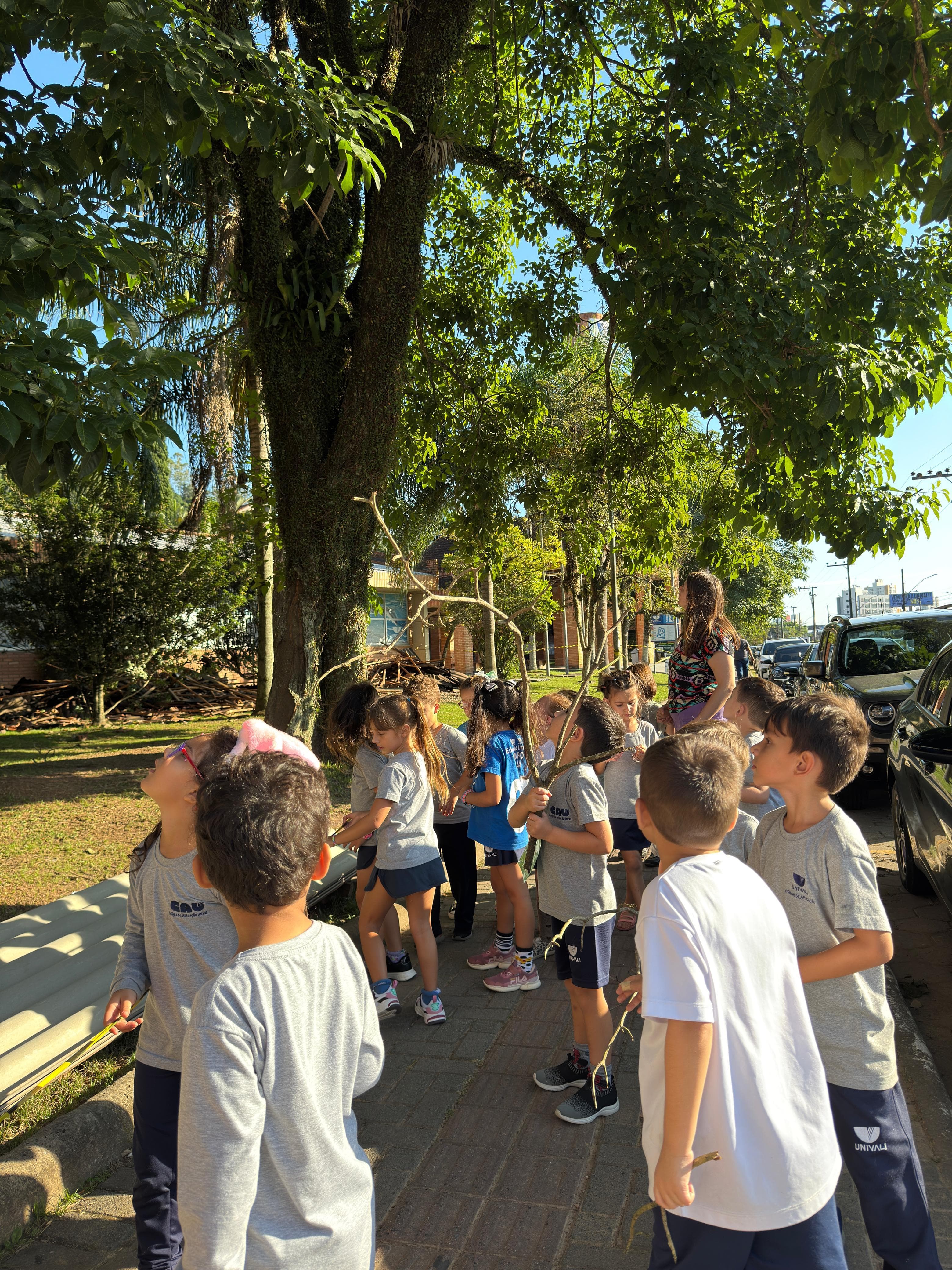 02 Árvore Árvores Livro CAU.jpeg