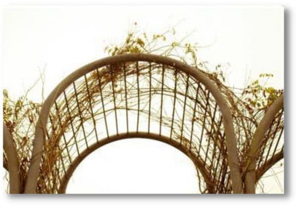 Foto_ Lorena Cabral.jpg