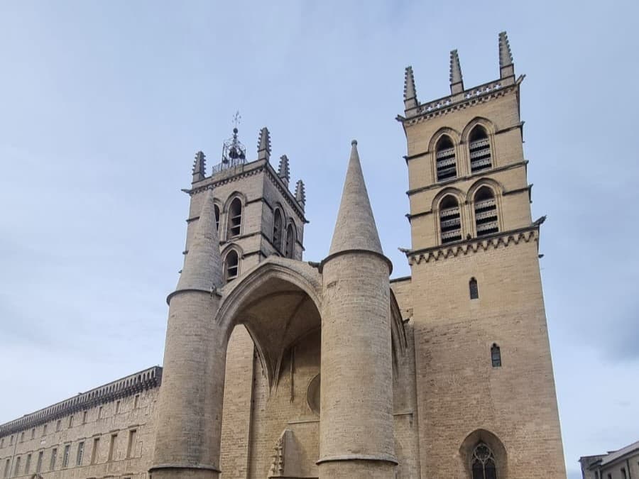 Montpellier.jpeg