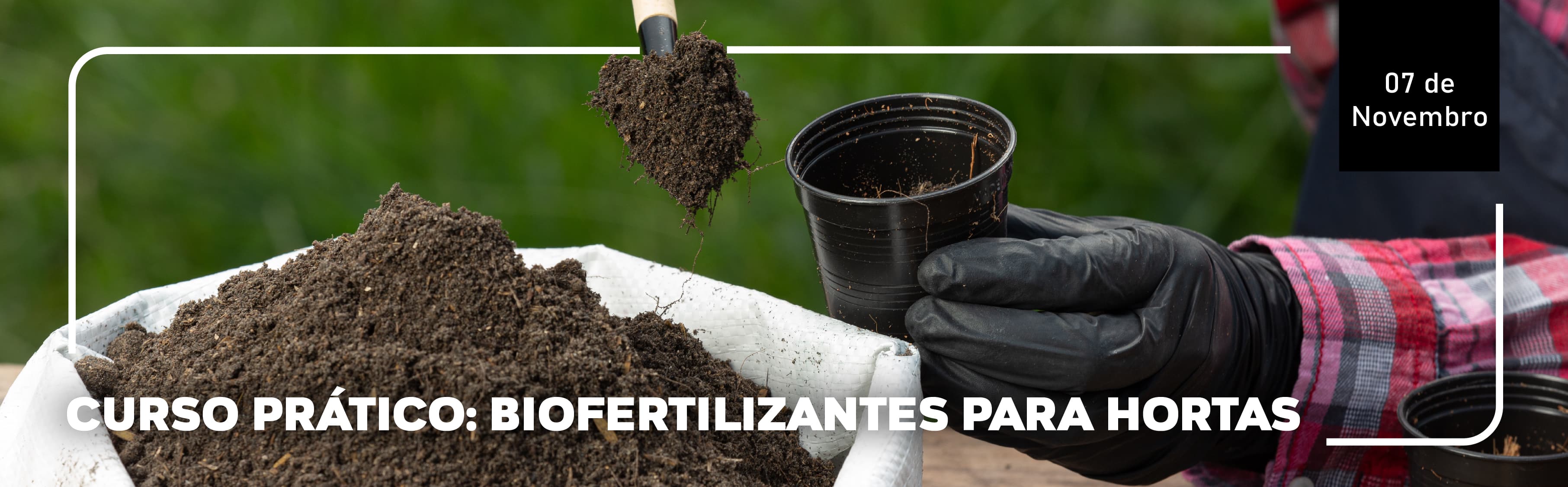Curso Prático: Biofertilizantes para Hortas 