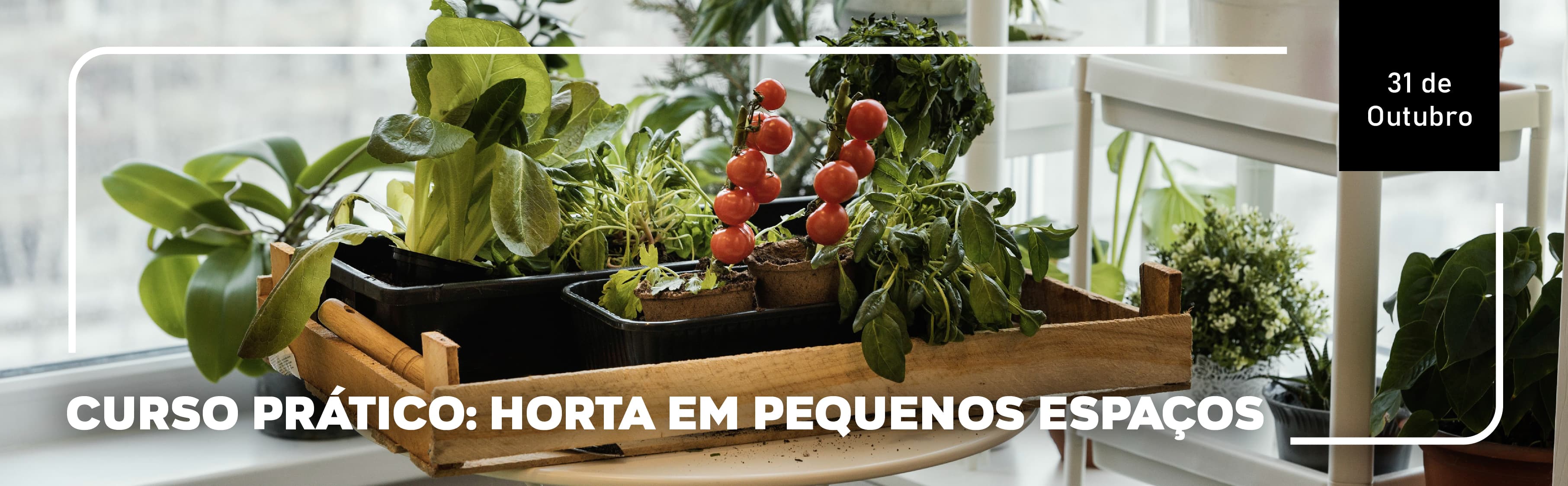 Curso Prático: Horta em Pequenos Espaços