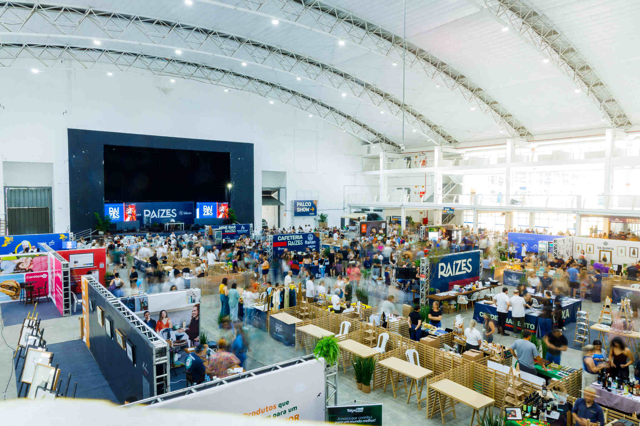 congresso raizes.jpg