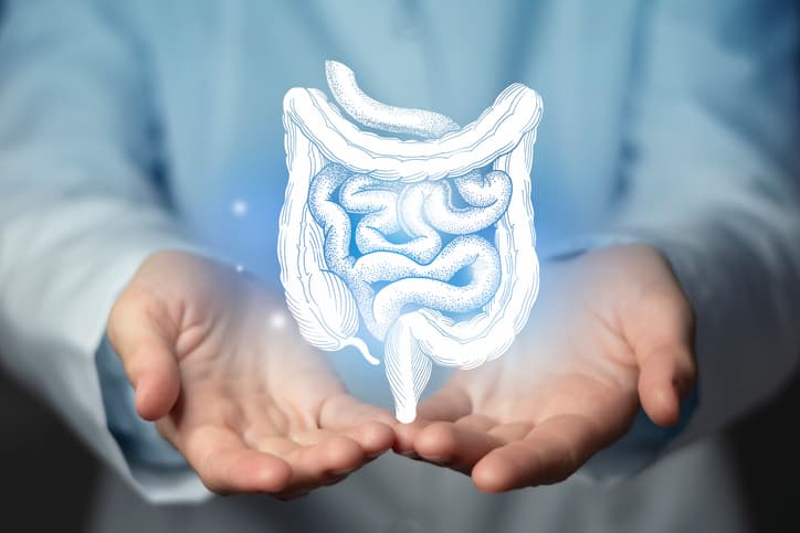 Encontro gratuito debate relação entre microbiota intestinal e saúde mental