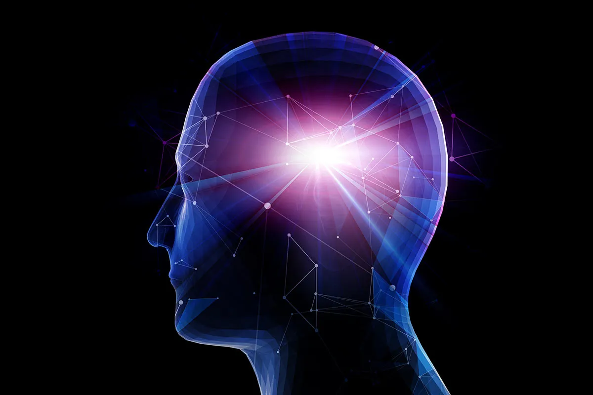 Neuromarketing e Brandsense