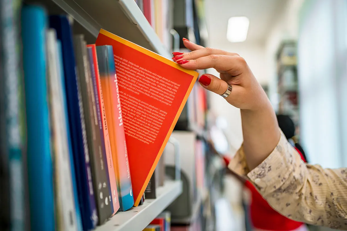 Teorias da Aprendizagem e o Ensino de Língua Portuguesa e Literatura