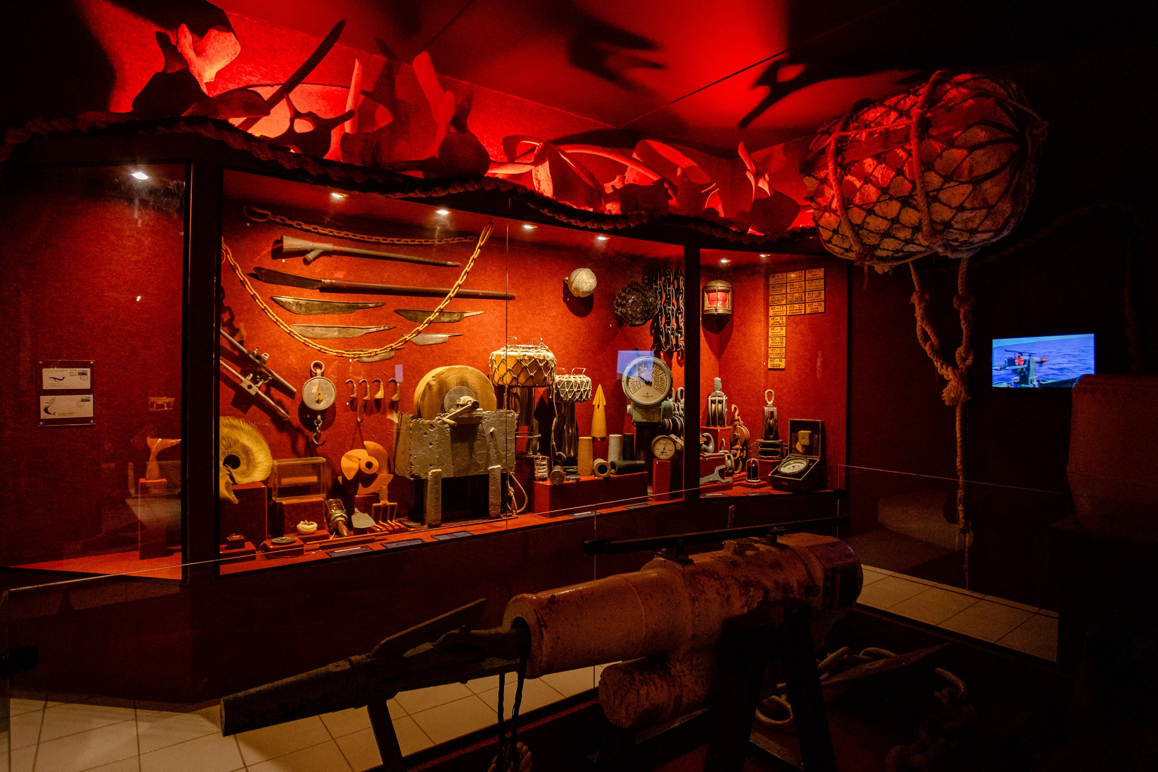 Aniversário Univali - Foto Dales Hoeckesfeld - 0021.jpg Aniversário Univali - Foto Dales Hoeckesfeld - 0021.jpg