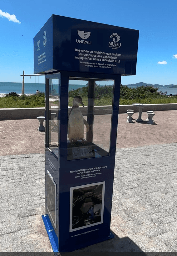 Presente de Aniversário: totem de pinguim agrega conhecimento à orla de Balneário Piçarras