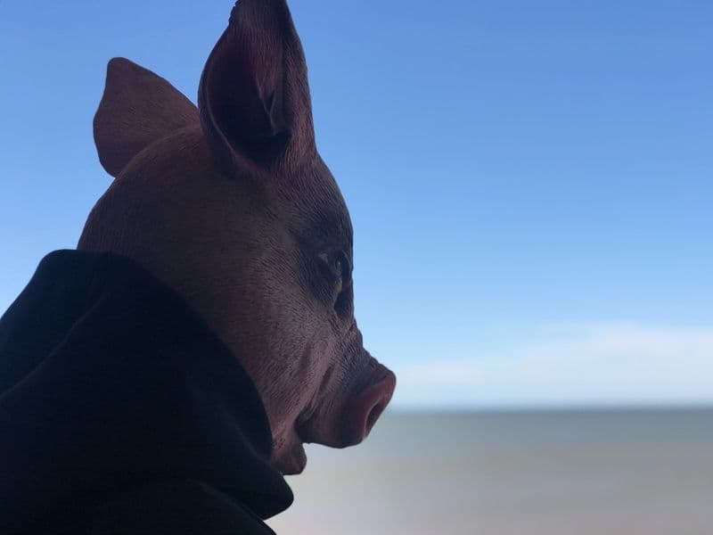 Fernando Lindote expõe na Univali__29.5.2024__.jpg Fernando Lindote expõe na Univali__29.5.2024__.jpg