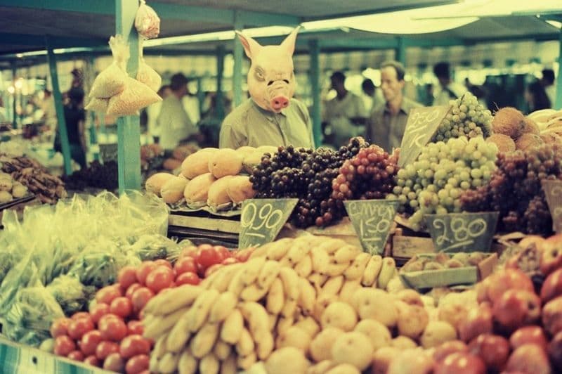 Fernando Lindote expõe na Univali_29.5.2024__.jpg Fernando Lindote expõe na Univali_29.5.2024__.jpg