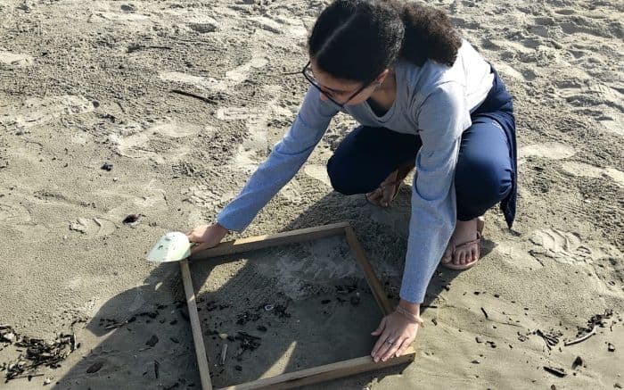 326 microplásticos, quatro praias e uma pergunta urgente sobre o litoral de Itajaí