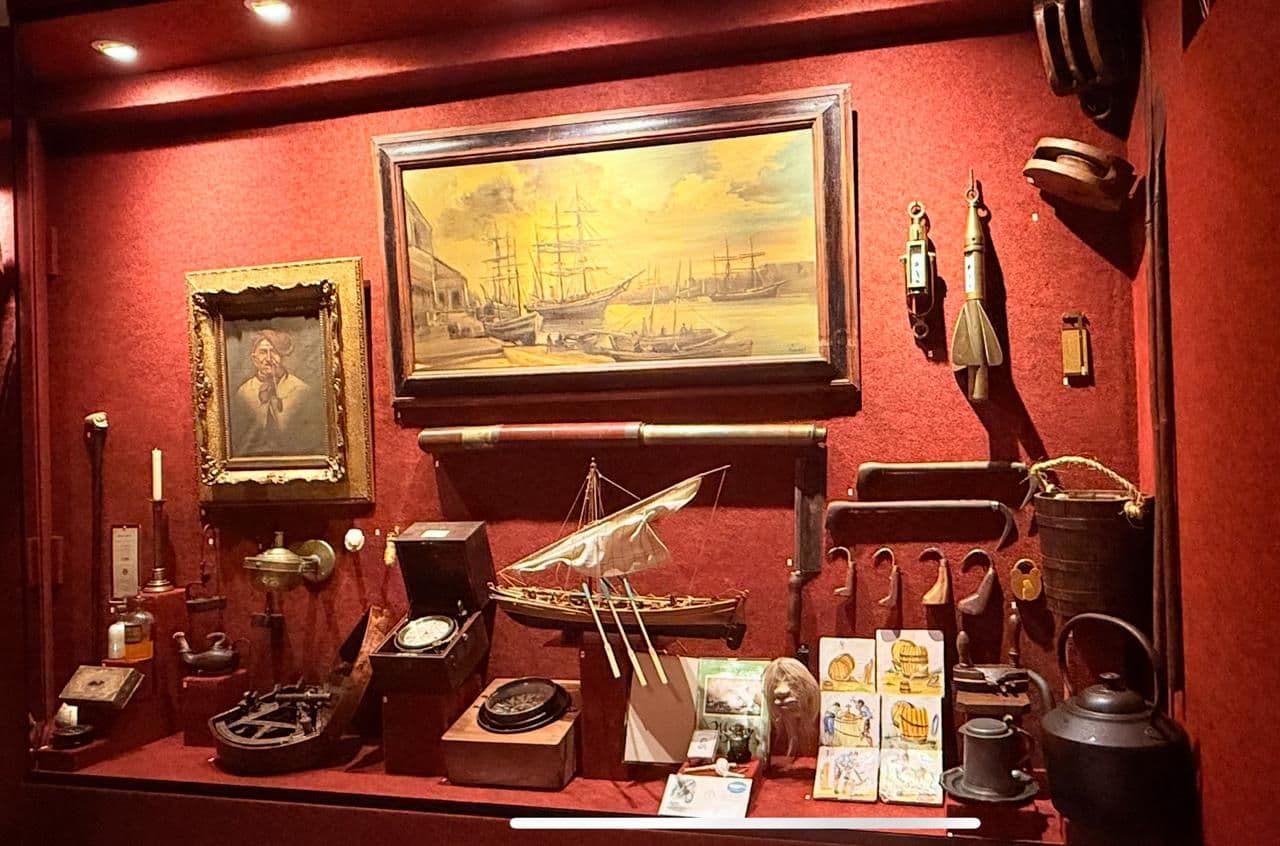 Museu Oceanográfico Univali inaugura novas alas e amplia exposição de longa duração