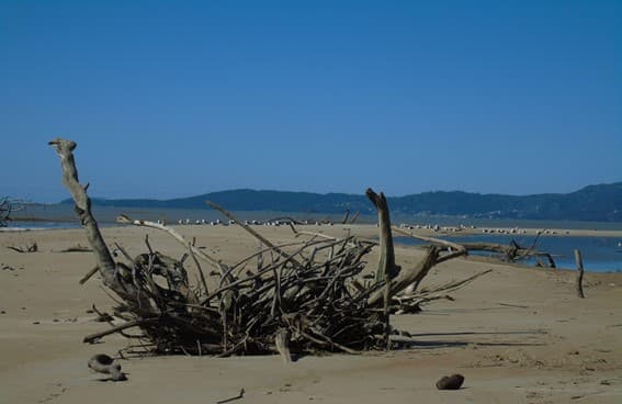 Eliene Barbachan Dubreuil expõe na Galeria de Arte Univali