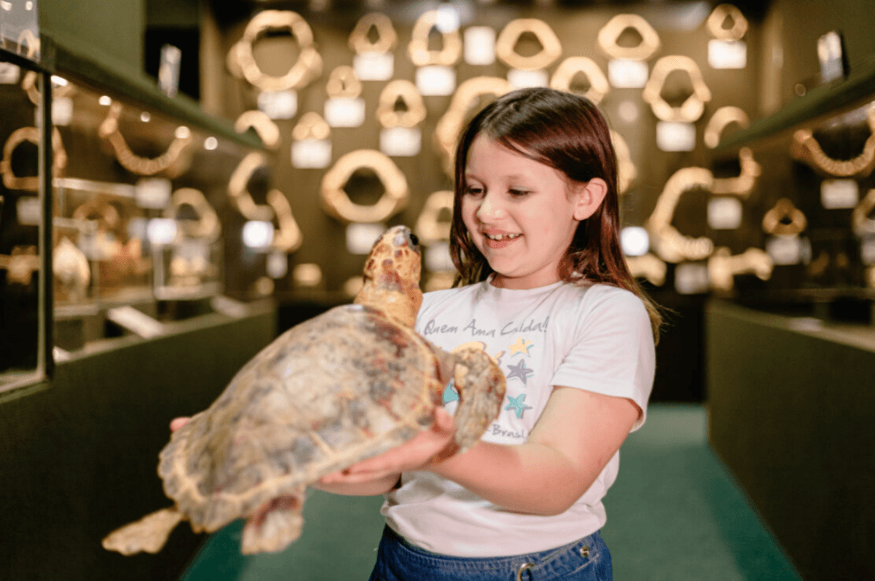 Colégio de Aplicação da Univali é selecionado para programa internacional sobre cultura oceânica