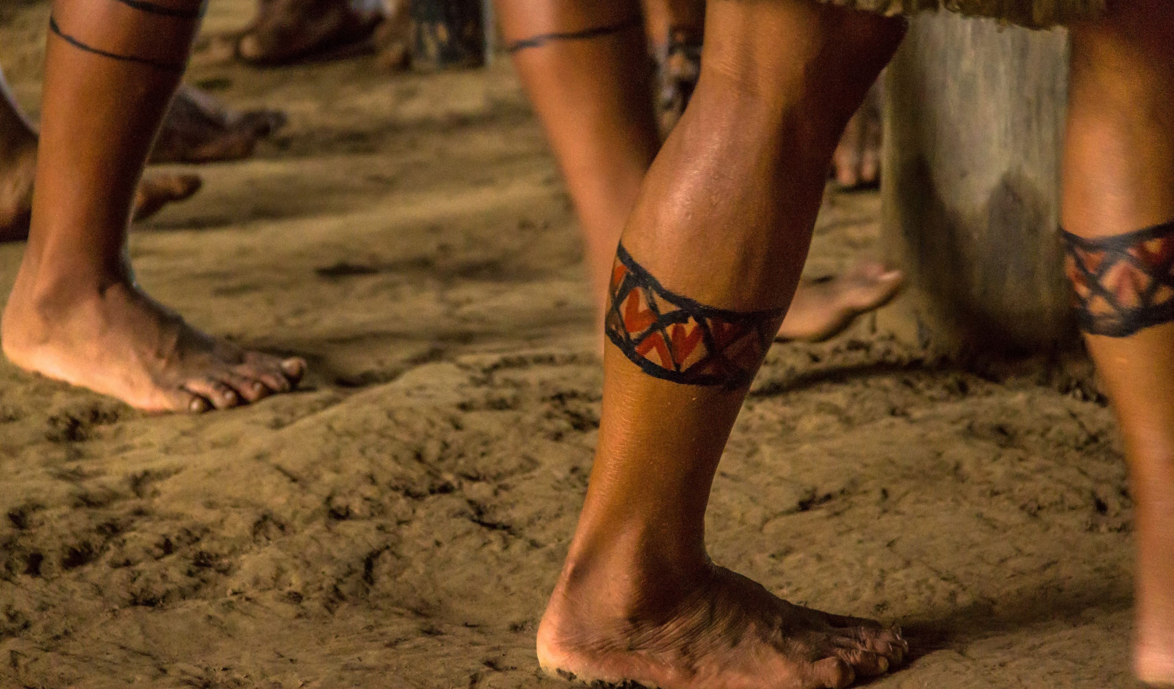 O futuro das terras indígenas: Univali analisa como o debate sobre o Marco Temporal impacta Santa Catarina