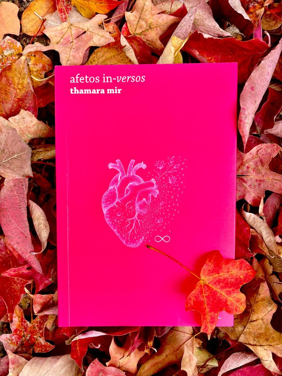 Thamara Mir - livro Thamara Mir - livro