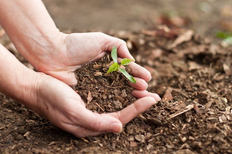 Univali promove semana do meio ambiente_31.5.2024__.jpg Univali promove semana do meio ambiente_31.5.2024__.jpg