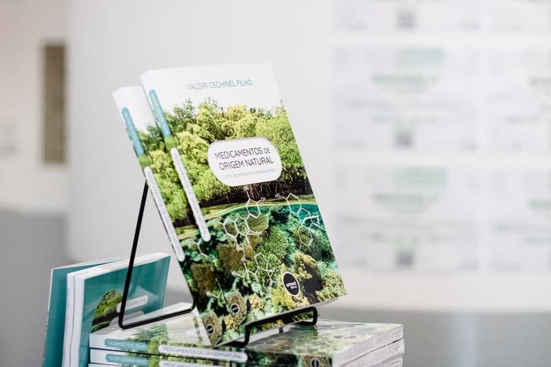 Valdir Cechinel - Foto Dales Hoeckesfeld (2).jpg Valdir Cechinel - Foto Dales Hoeckesfeld (2).jpg