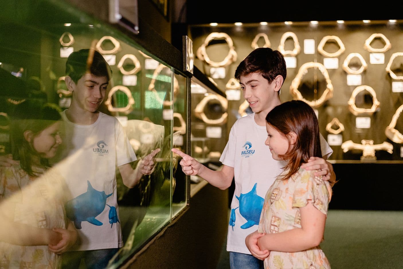 museu-oceanografico-participa-da-semana-dos-museus.jpg museu-oceanografico-participa-da-semana-dos-museus.jpg