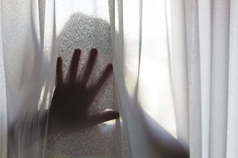 univali-divulga-campanha-sinal-vermelho-no-campus-florianopolis.jpg univali-divulga-campanha-sinal-vermelho-no-campus-florianopolis.jpg